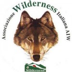 1439543833-1725169644-wildernesslogo.jpg