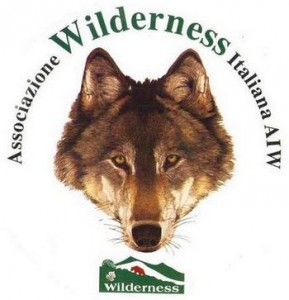 1439543833-1725169644-wildernesslogo.jpg