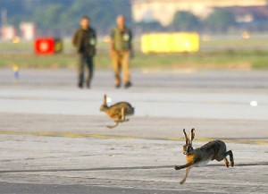 Aeroporto