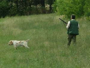 Disturbo e molestie alla caccia