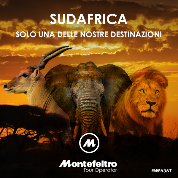 caccia_montefeltro-sud-africa_2016