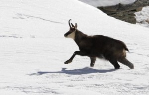 Parco delle Alpi Apuane