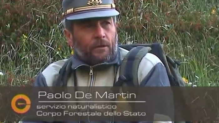 paolo de martin