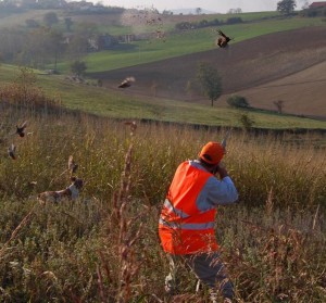 Ambito Territoriale di Caccia Siena 19