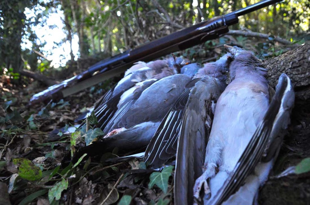 carniere durante battuta di caccia ai colombacci