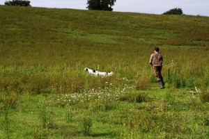 Gara cinofila su selvaggina liberata