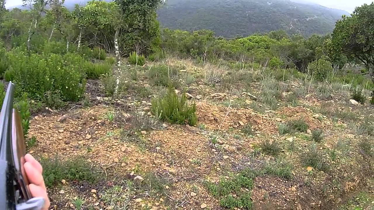 Caccia al Cinghiale 2015