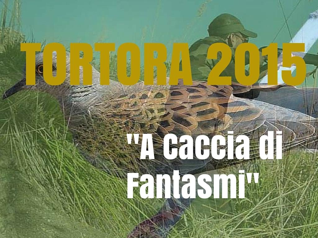 Caccia alla Tortora in preapertura 2015