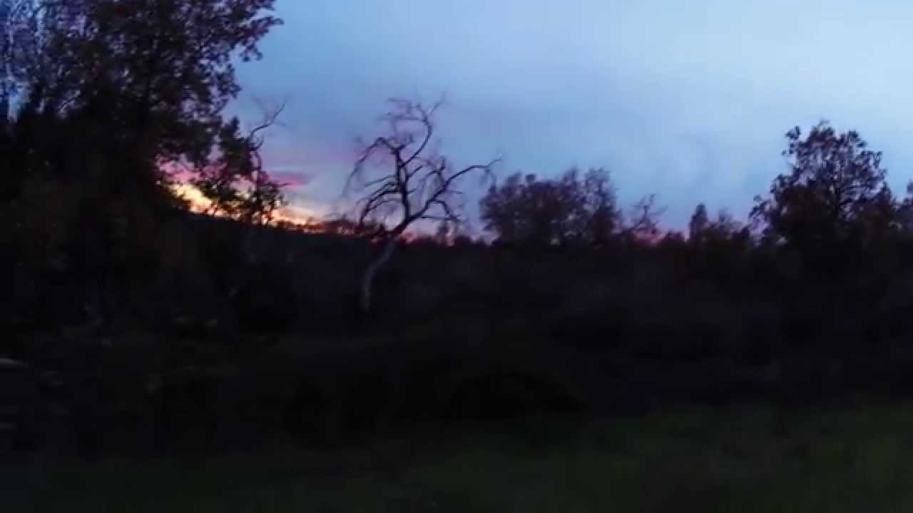 Caccia ai Tordi in Calabria 2014