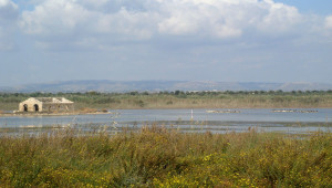 Divieto di caccia