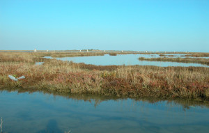 Cacciatori di Orbetello