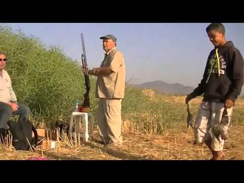 Caccia alle tortore in Marocco 2015