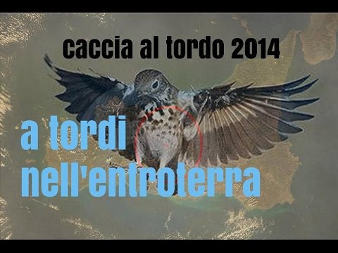 Caccia al Tordo in Sicilia