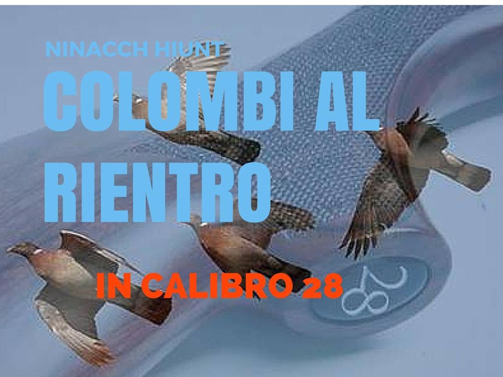 Caccia al Colombaccio al rientro con calibro 28