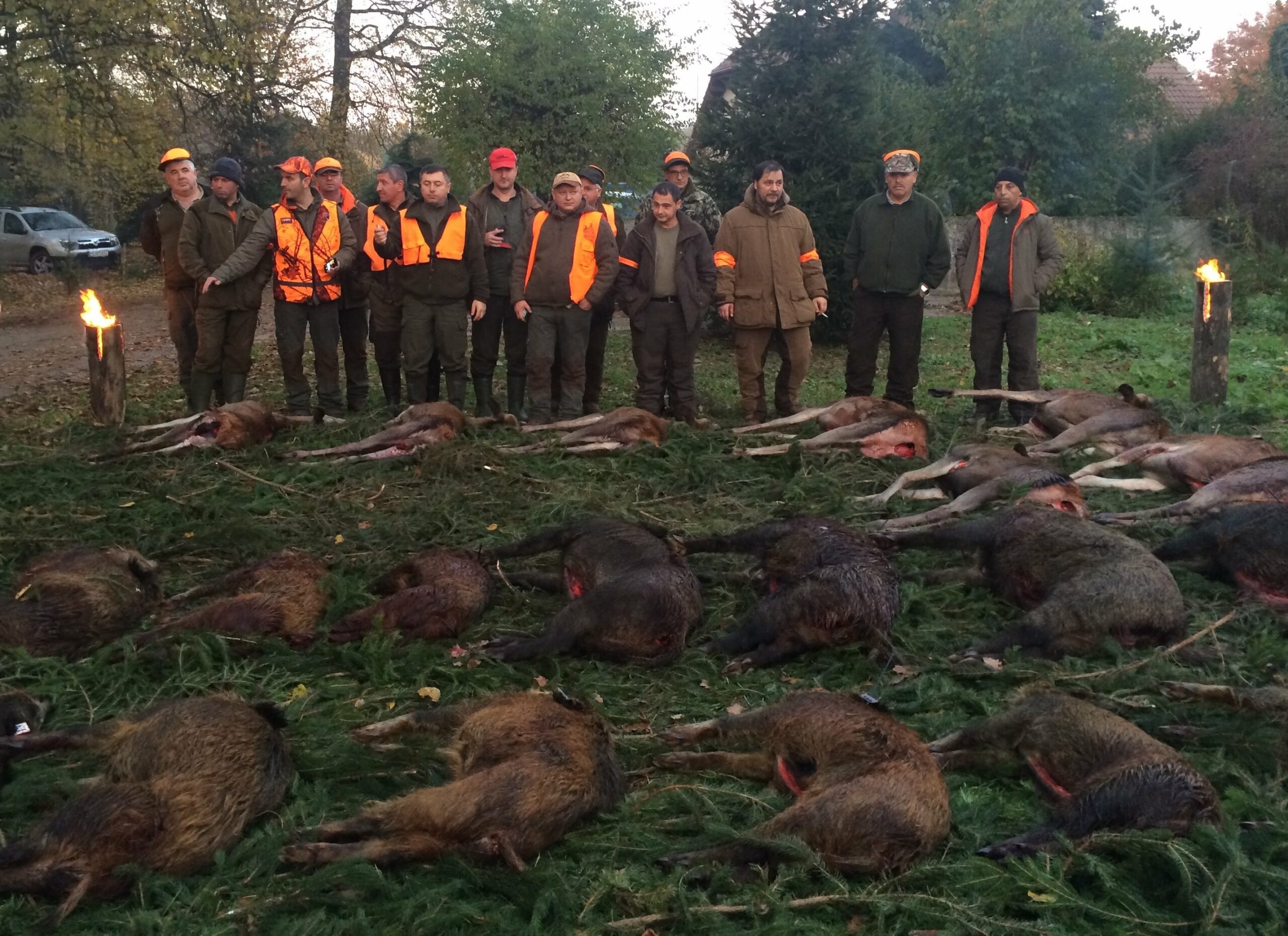 Video di caccia al cinghiale in Polonia