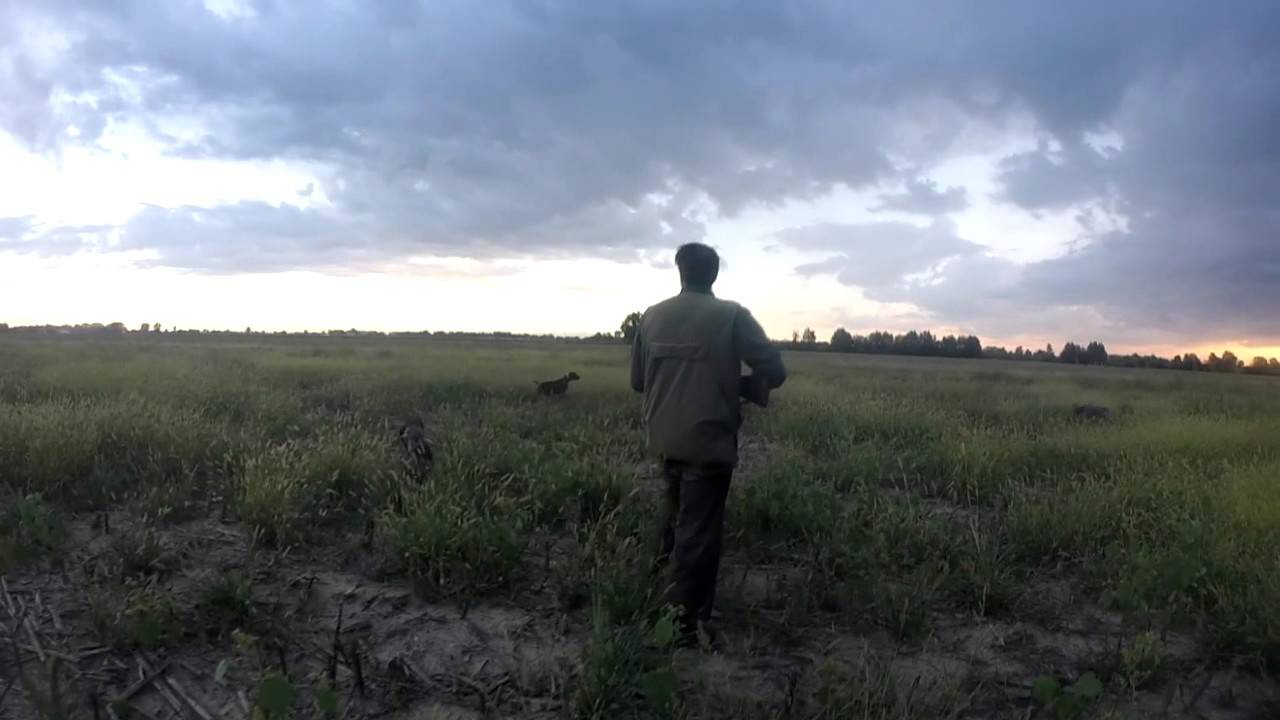 GoPro HD – Primo giorno di caccia – Stagione 2015