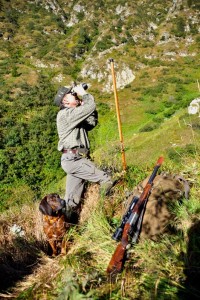 Caccia al cervo in montagna