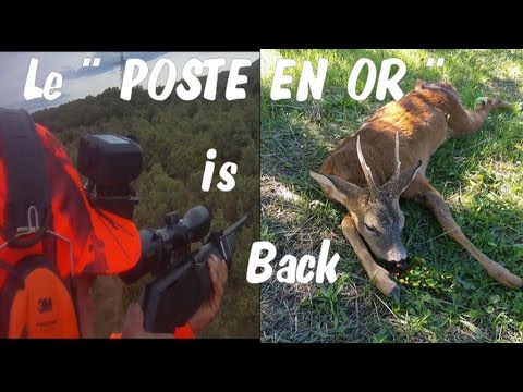 Video di caccia al cinghiale in Francia.