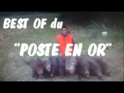 Caccia al Cinghiale dall’altana