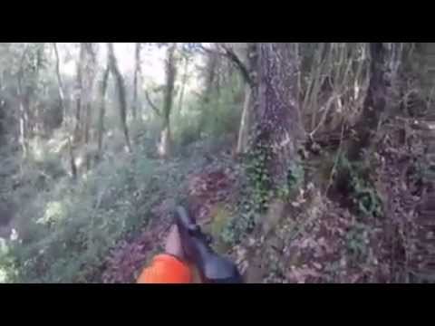 Cinghiale attacca cacciatore. Wild boar attacks.