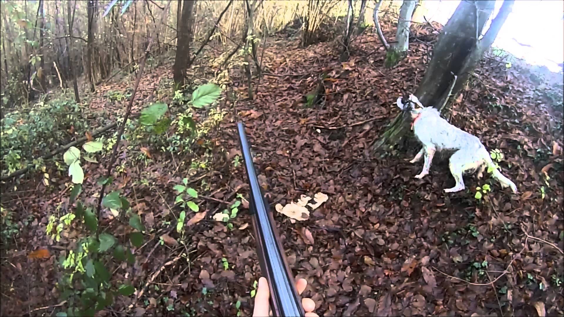 Caccia alla Beccaccia