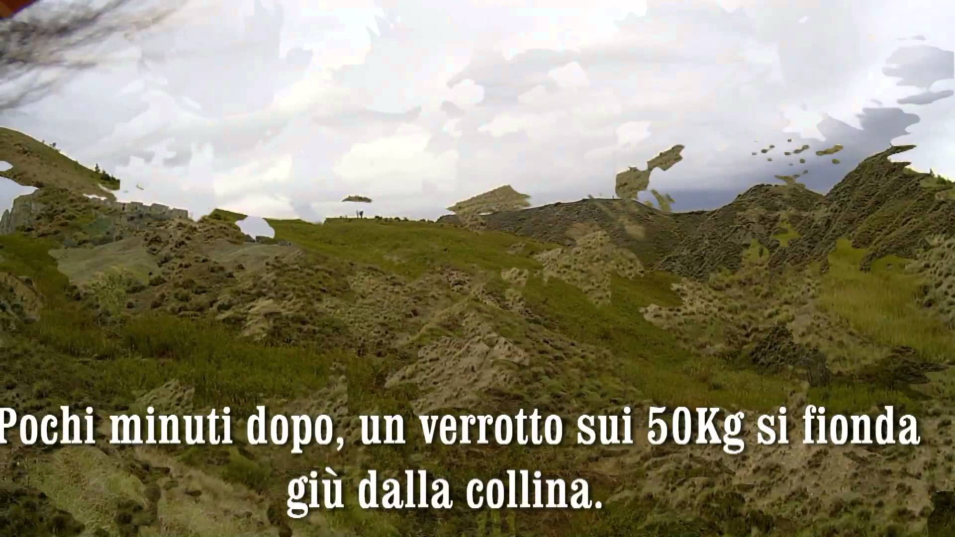 Caccia al cinghiale nei calanchi 2015