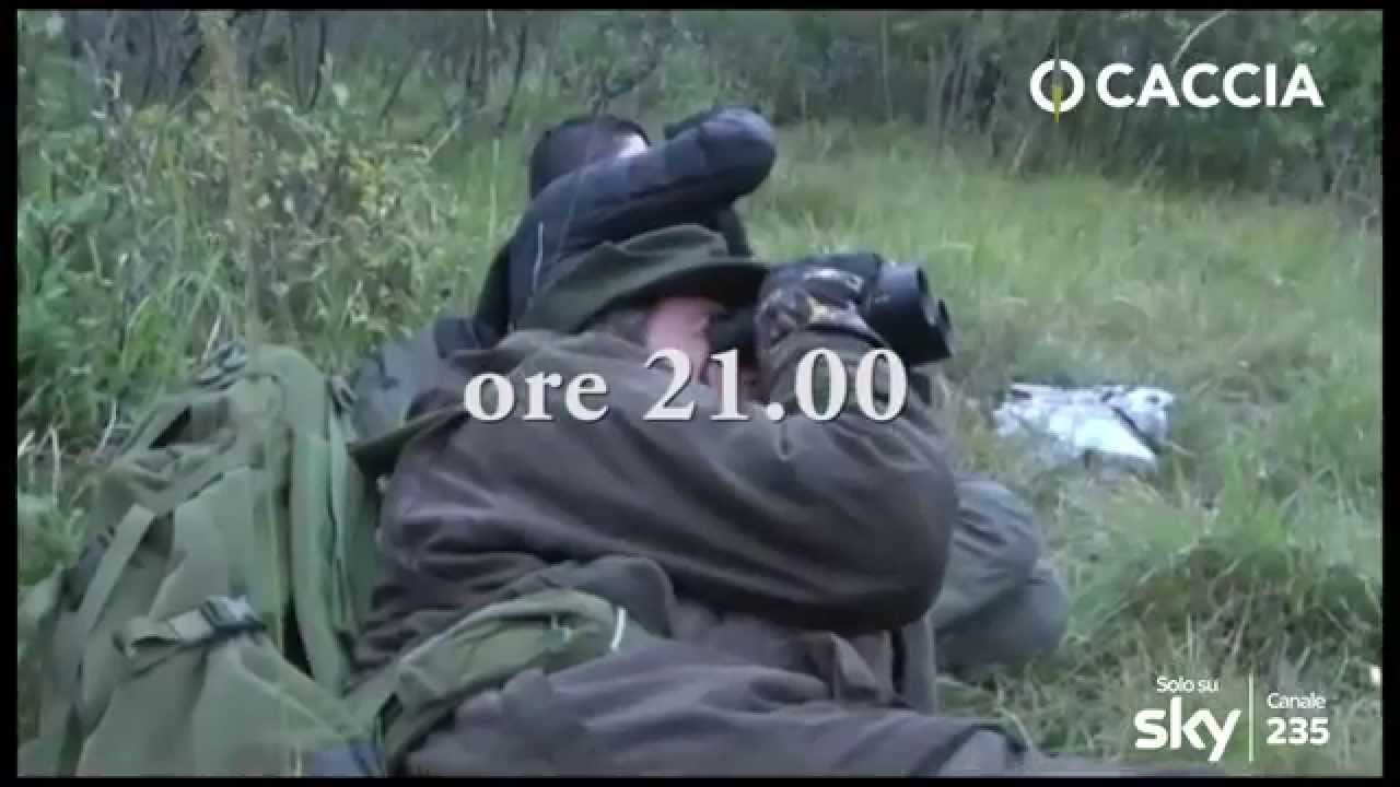 CACCIA: In cerca di mufloni lungo l’Italia.. Questa sera ore 21.00 Canale Sky 235