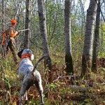 Caccia nel bosco alla beccaccia