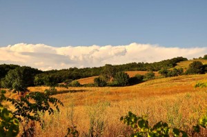 Conservazione della natura