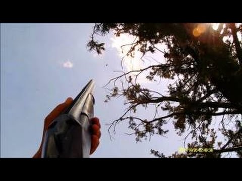 Caccia al Colombaccio a Cipro