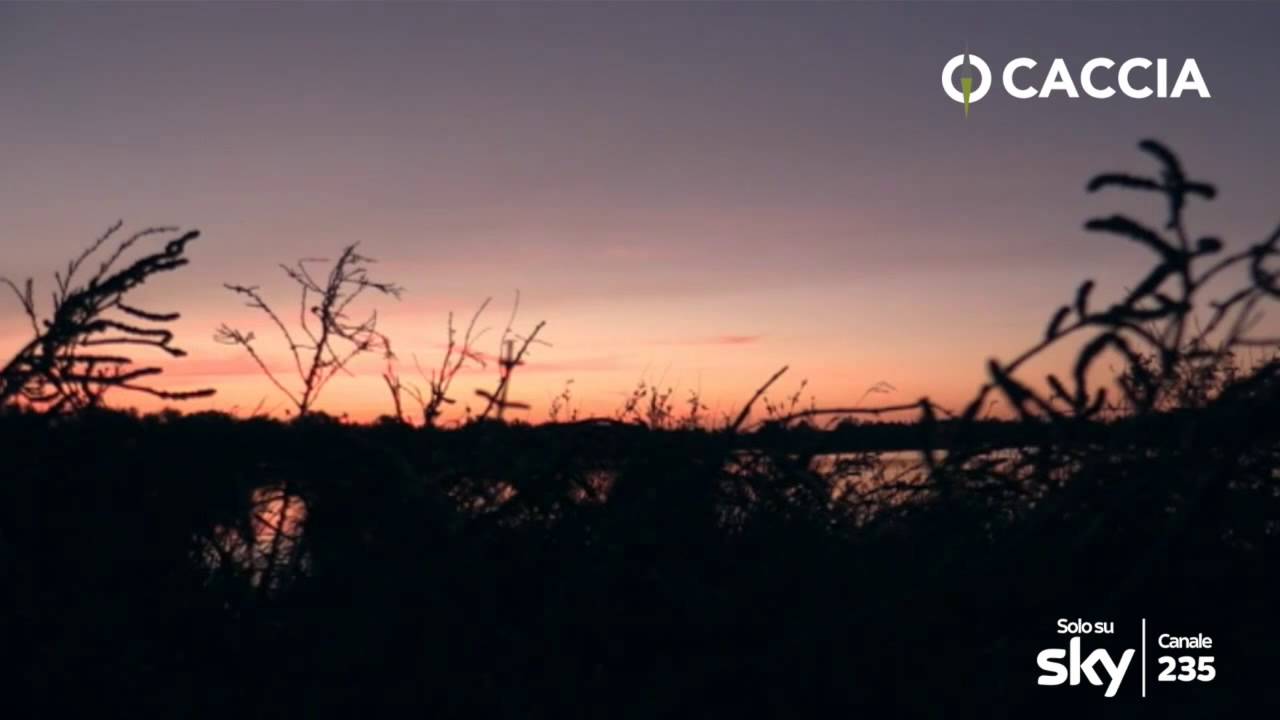 Caccia alle Anatre nelle valli venete