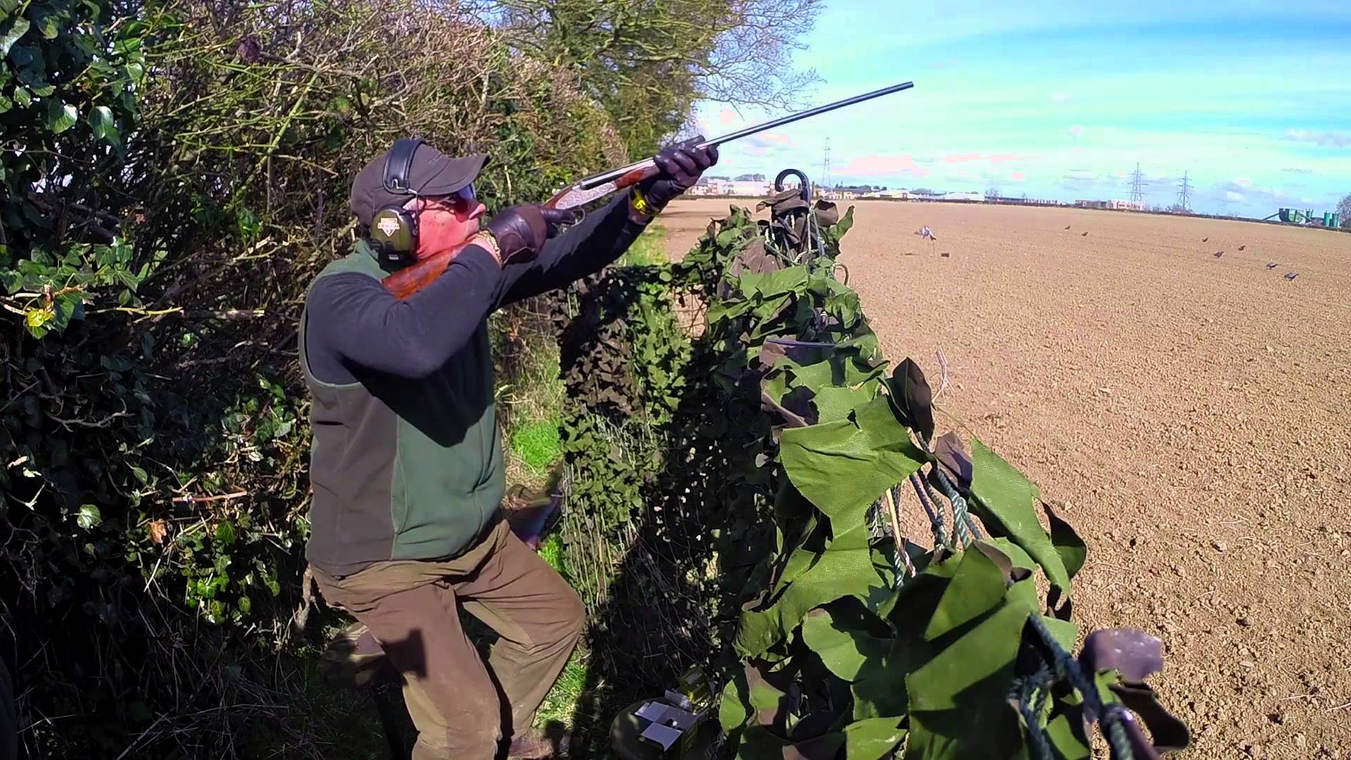 Caccia ai colombacci in Irlanda