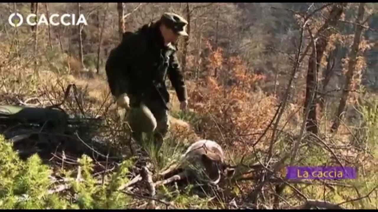 Caccia e Munizioni: Manuale di Ricarica, ultimi calcoli di balistica prima della giornata di caccia – 18a Puntata