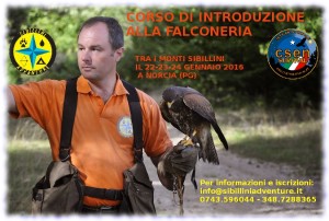 corso falconeria