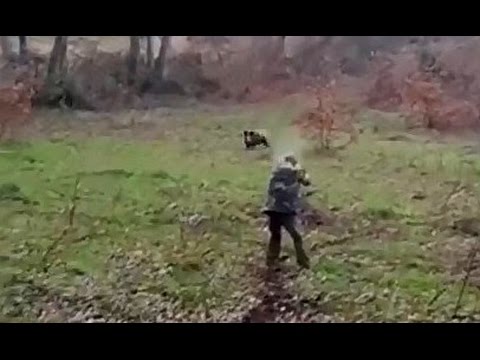 Caccia al Cinghiale…padelle e paura!