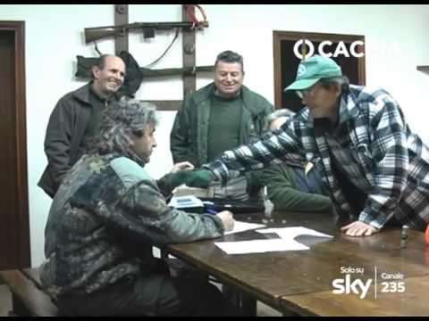 Caccia al Cinghiale con la Braccata