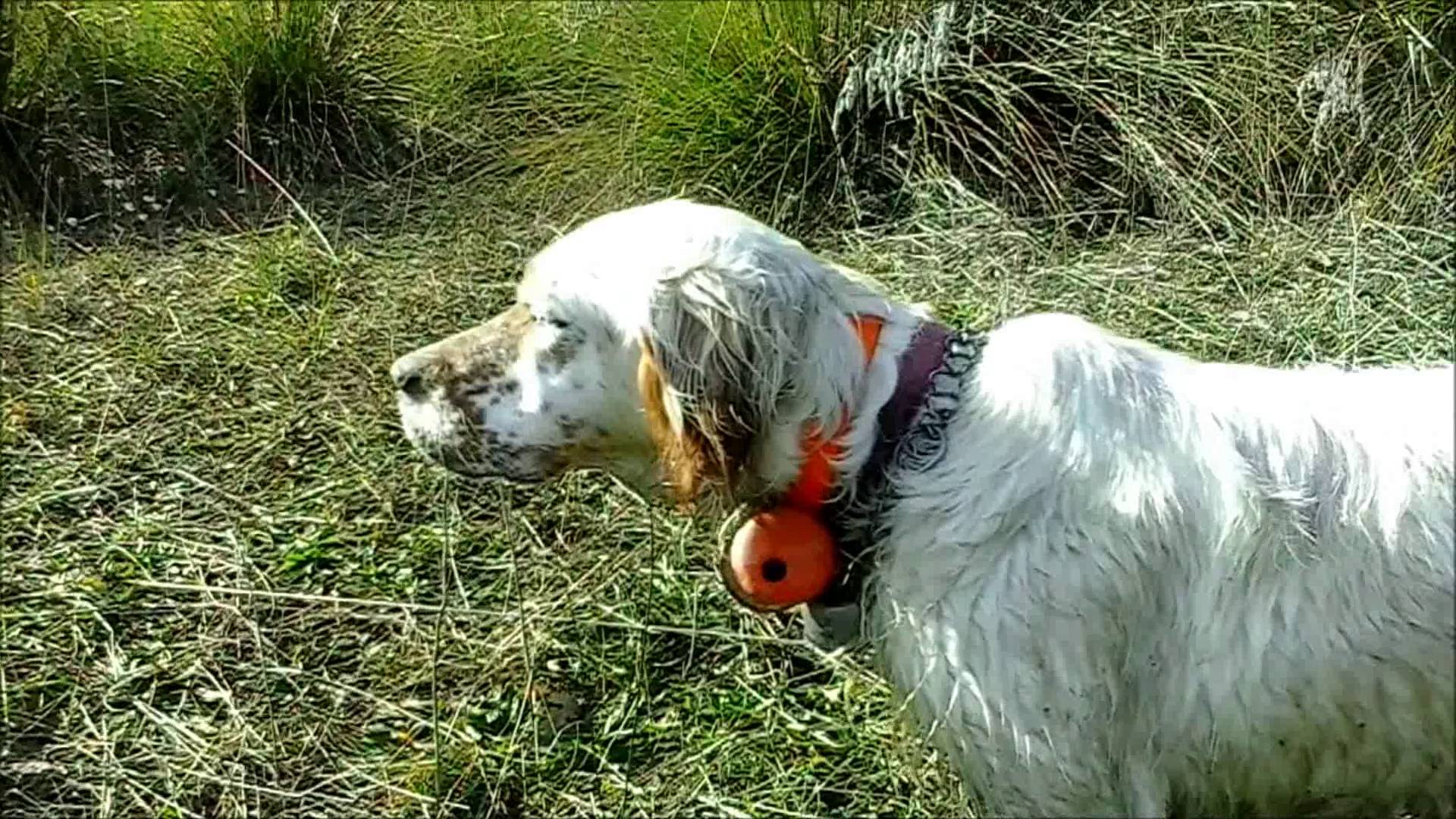 Diventa uno di noi: video di Salvatore Capparelli dal titolo “Emozioni Pure”