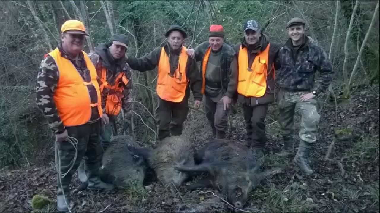 Diventa uno di noi: video di Stefano Bogi dal titolo “La squadra delle carline – Caccia al Cinghiale 2014-2015”