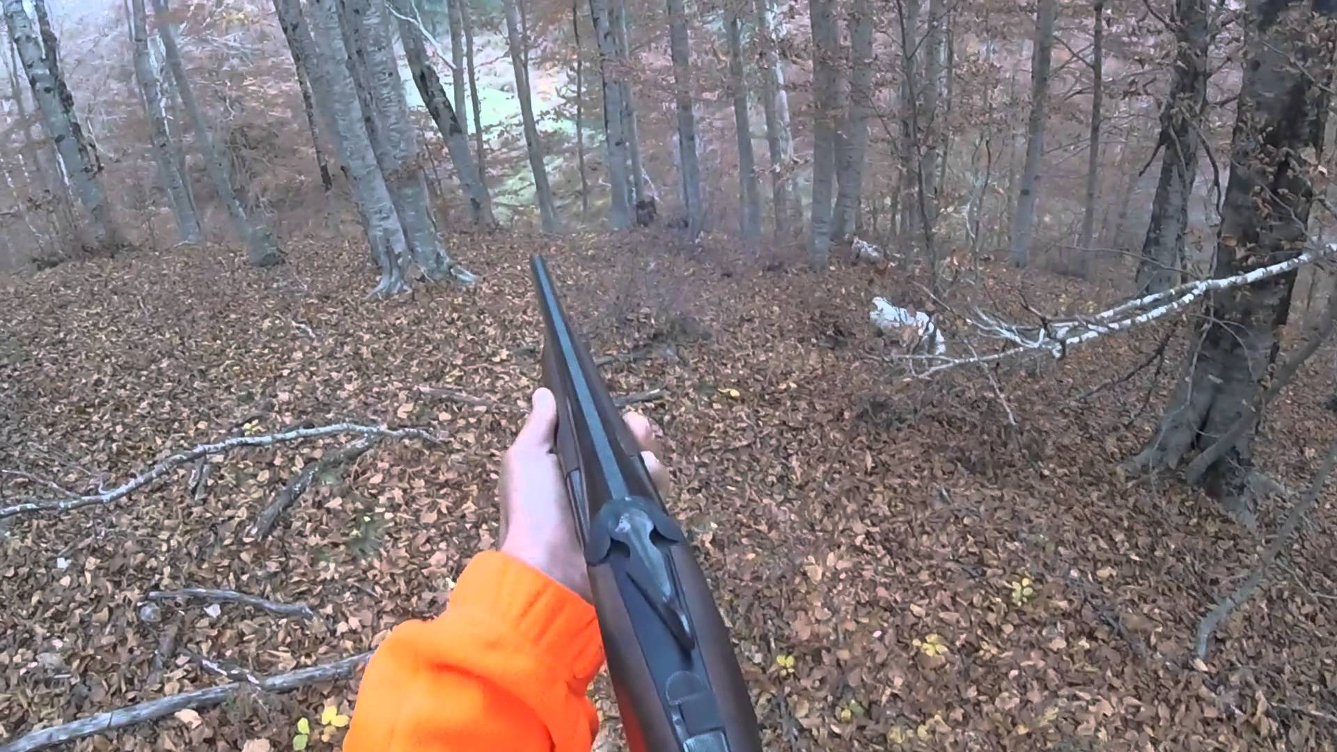 Caccia Tv: a caccia della beccaccia in Sila – Angelo Rodio