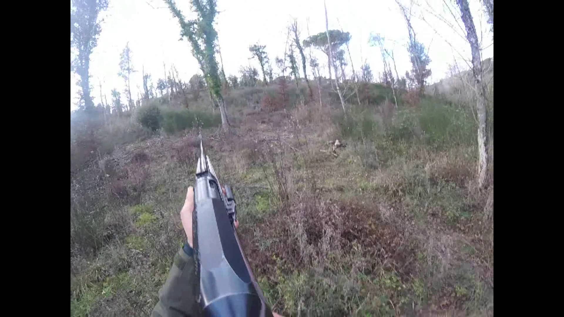 Caccia al Cinghiale nel senese