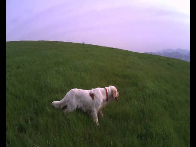 DIVENTA UNO DI NOI: il video di Mauro Manoni dal titolo “Hunter of Emotions”.