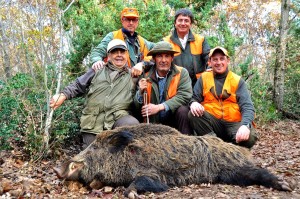 Caccia al cinghiale in battuta