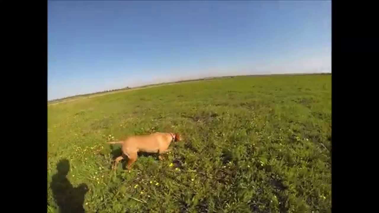 Diventa Uno di Noi: video di Piermarco Colonna dal titolo “I doni di Diana”