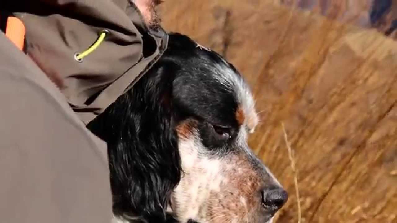 Diventa Uno di Noi: video di Luca Maschio dal titolo “Straight Home”