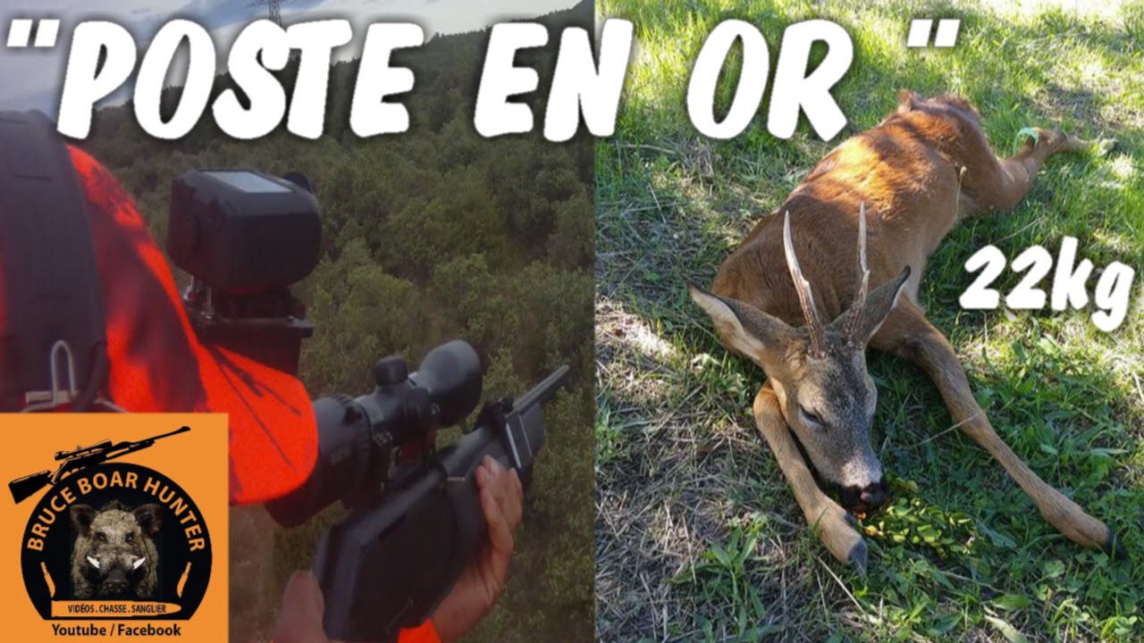 Caccia agli ungulati in Francia