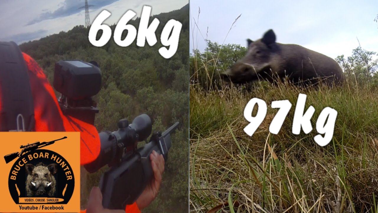 Caccia al cinghiale dall’altana