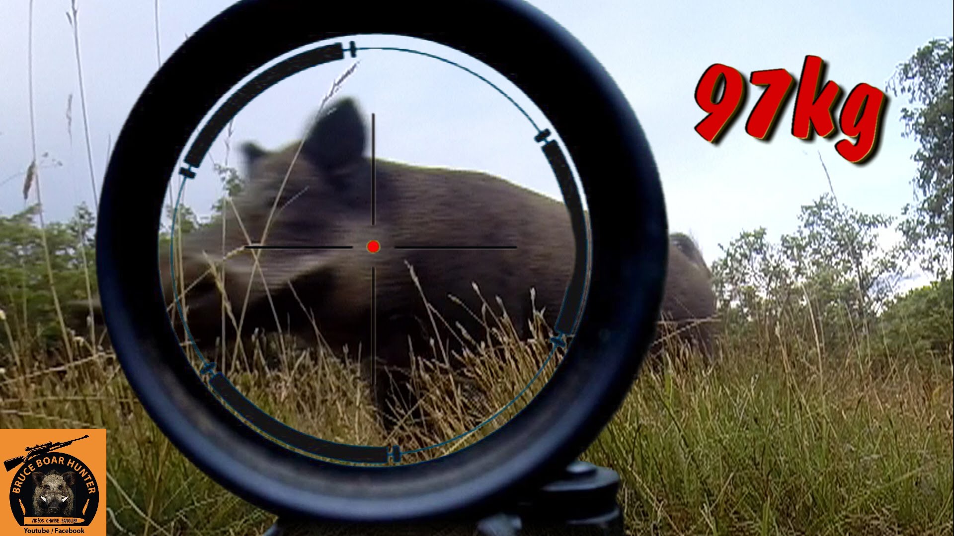 Caccia al Cinghiale, 5 tiri dall’altana