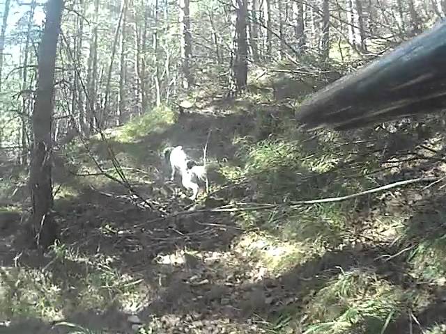 Diventa Uno di Noi: video di Natale Gebennini dal titolo “Confronto tra due Regine”