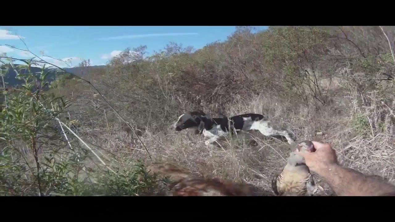 Caccia alla Pernice Sarda