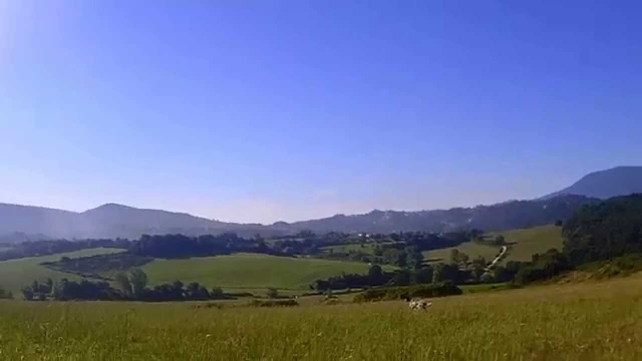 Caccia e Cani: Addestramento alla ferma